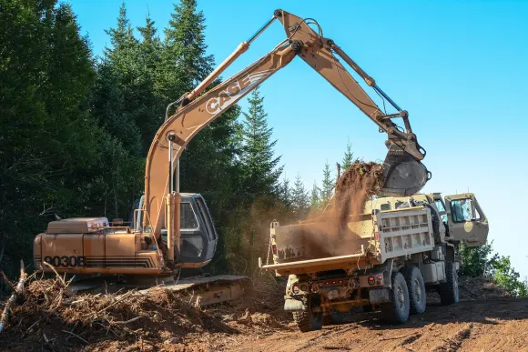 Kasino Golden Crown Sokongan